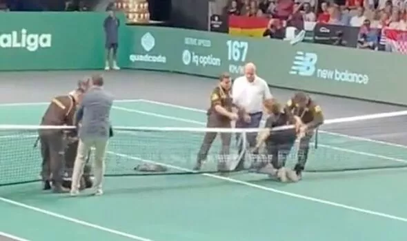 boog pleegouders Verslaafde Chaos at Davis Cup in Malaga as protesters storm centre court during Spain  clash - Olive Press News Spain