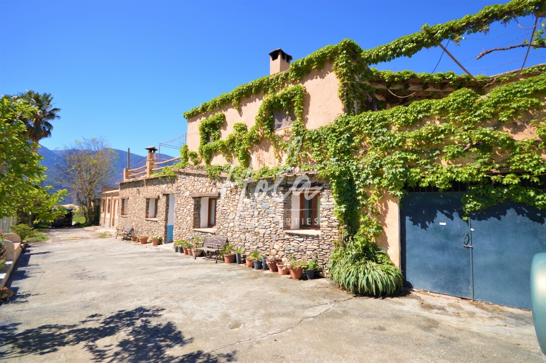 Hola Properties se lanza a las regiones tropicales de Granada y Costa, España