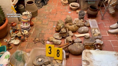 Ceramics And Fossilse