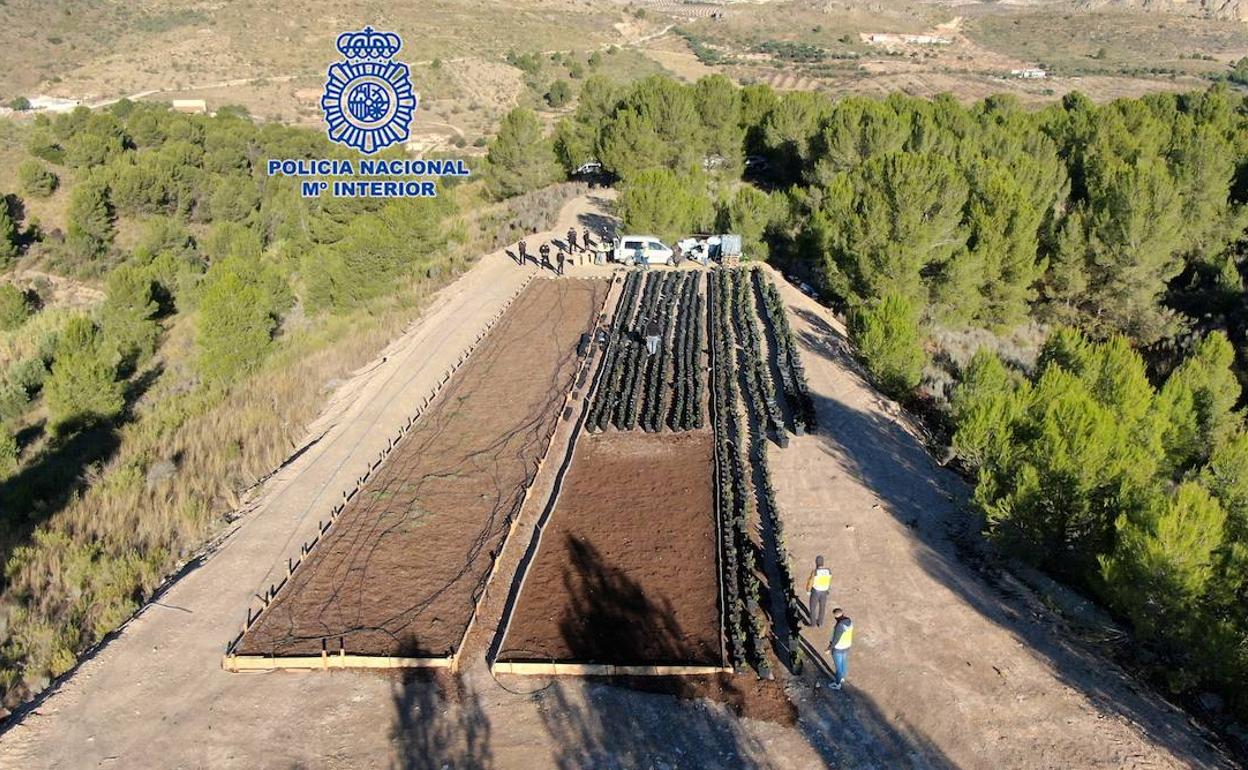 Drone Catches Out British Men Running Remote Marijuana Farm In Spain's Murcia