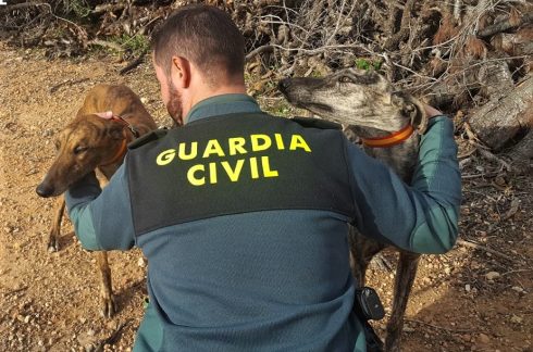 Emergency Line Gets 15,000 Calls Over Pets And Protected Animals In Spain's Costa Blanca And Valencia Areas