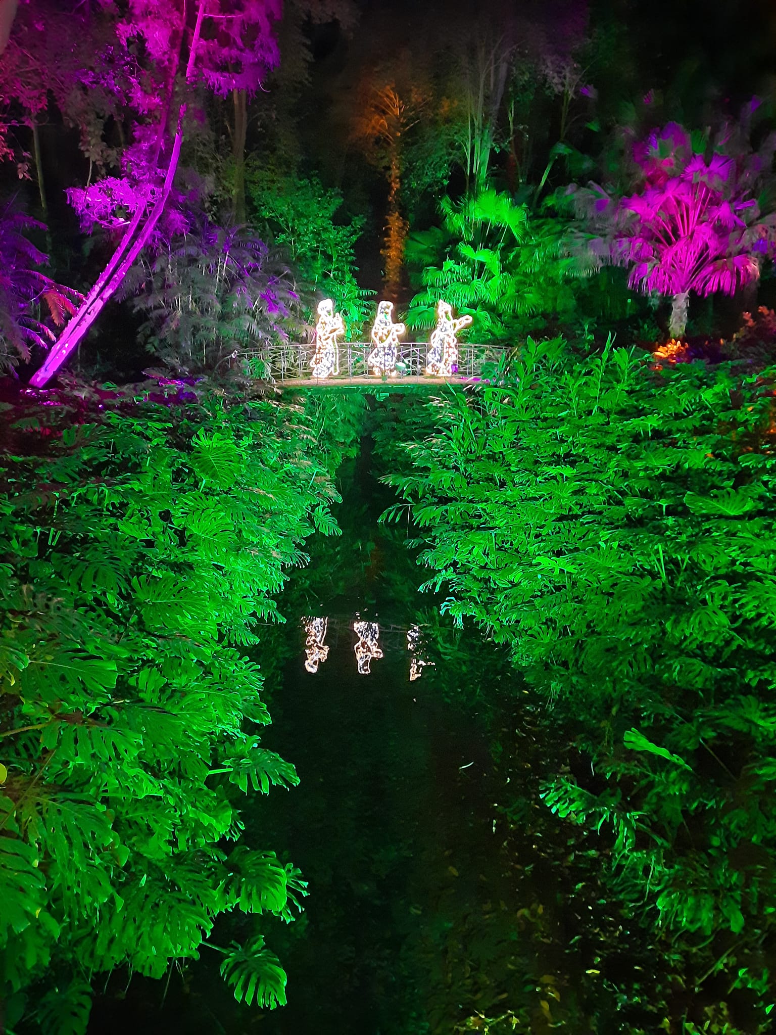 Spectacular Malaga Christmas lights live up to hype as one of Spain's