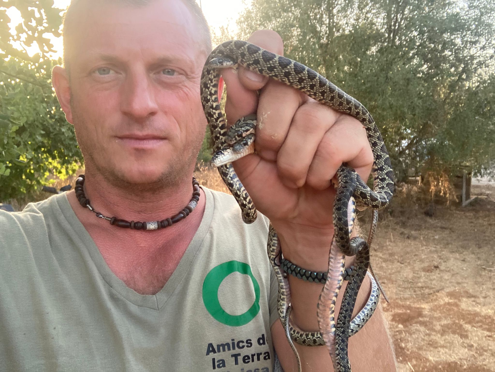 Ibiza's volunteer snake catcher