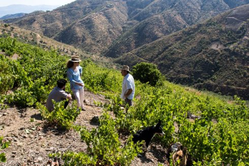La bodega malagueña elabora un vino de montaña fino, seco y elegante (tal y como le gustaba a Catalina la Grande)