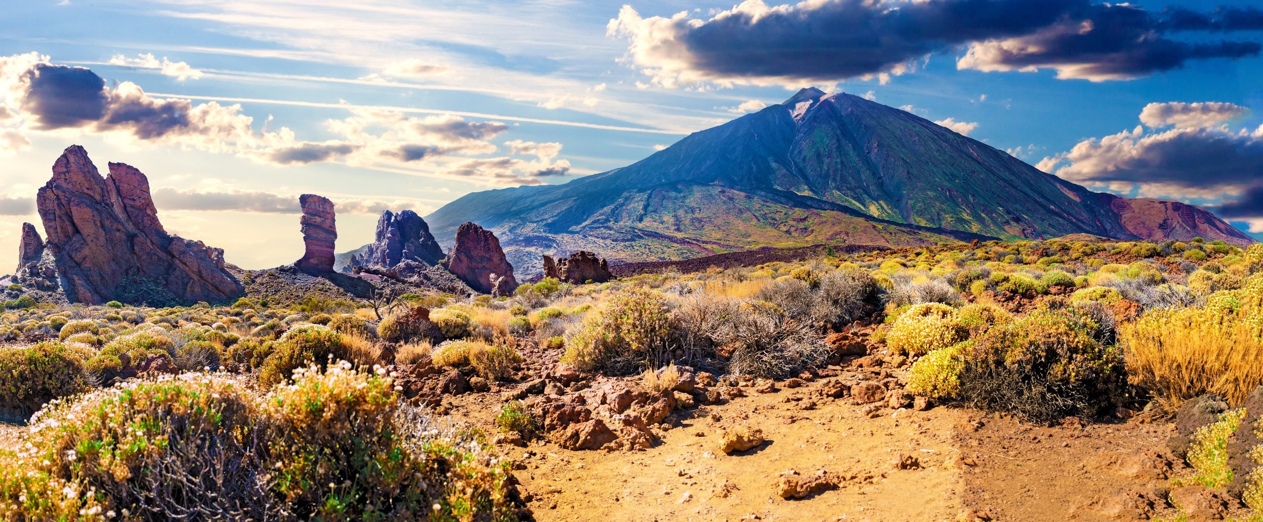 Volcano Teide With Llano De Ucanca.desert Panorama