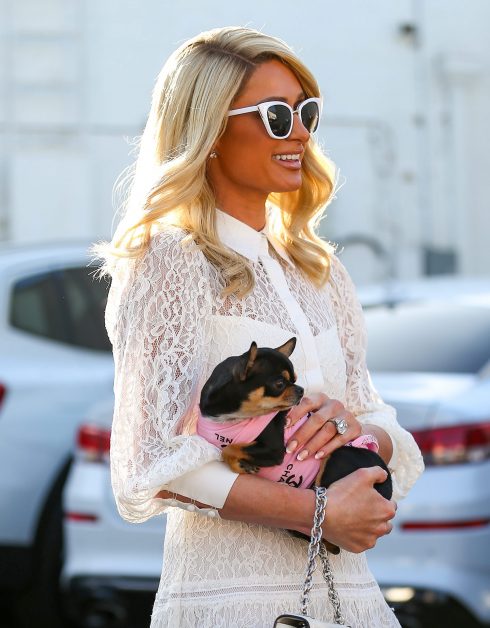 Paris Hilton Spotted Out With An Adorable Furry Friend