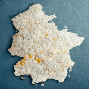 Spain Drug Map