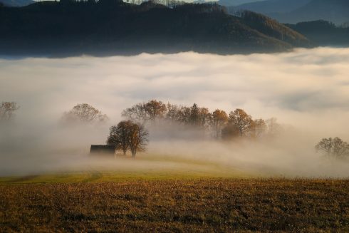 Heavy fog causes chaos and sees seven flights diverted from Spain’s Sevilla to Malaga Credit: Pixabay