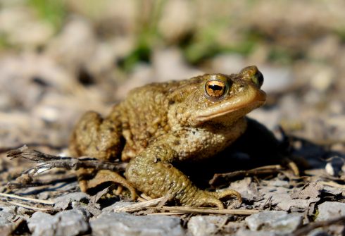 Wolfgang Furstenhofer Vtmtiycitsk Unsplash