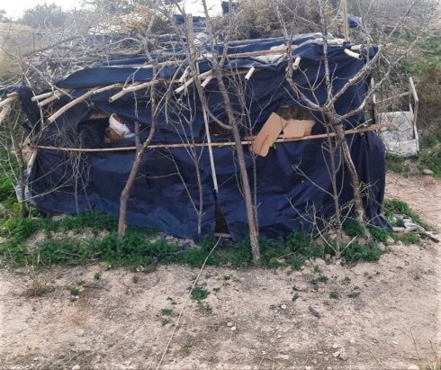 Camouflaged Tent