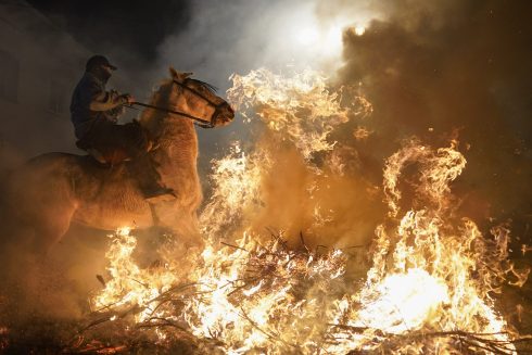 Horses Walk Through Bonfires During The Annual Luminarias Festival In Spain