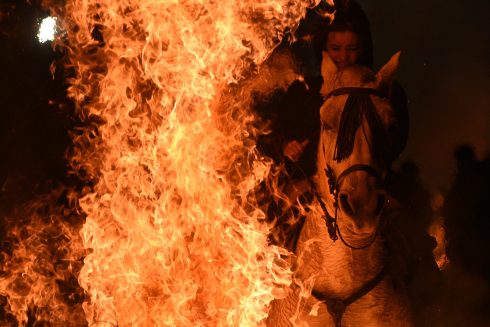 Caballos Y Jinetes Saltan Al Fuego En El Festival Las Luminarias En San Bartolomé De Pinares