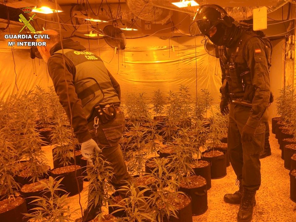 Police Close Marijuana Farms In 'upmarket' Urbanisations On Spain's Costa Blanca