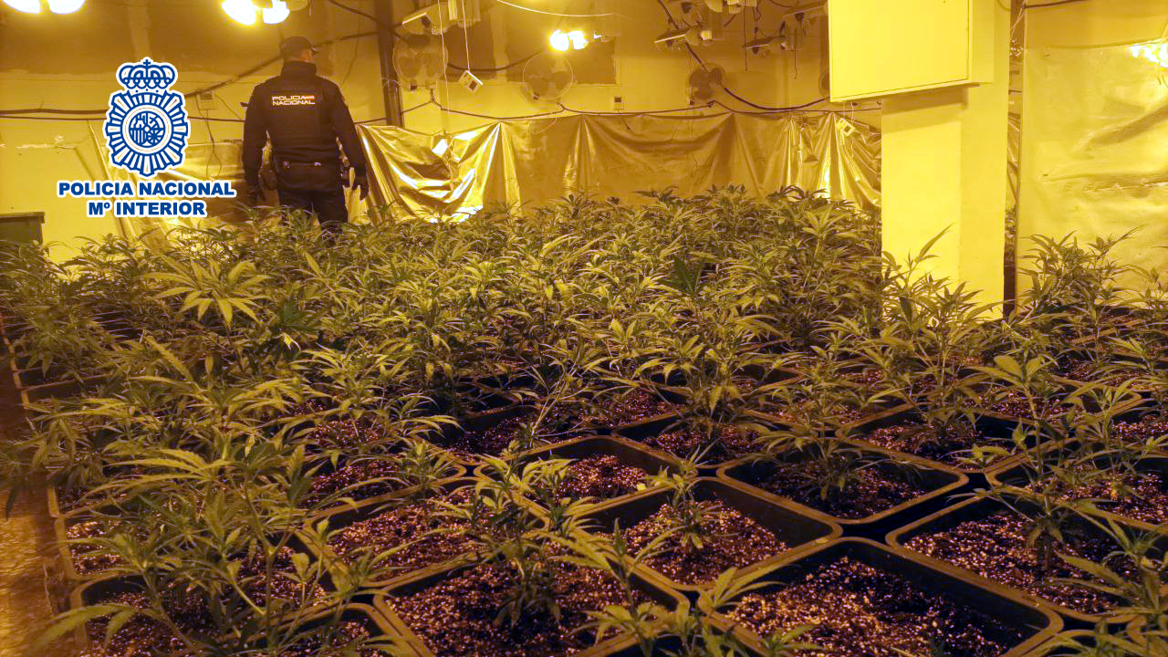 Police Simultaneously Raid Six Indoor Marijuana Farms On Spain's Costa Blanca And Murcia