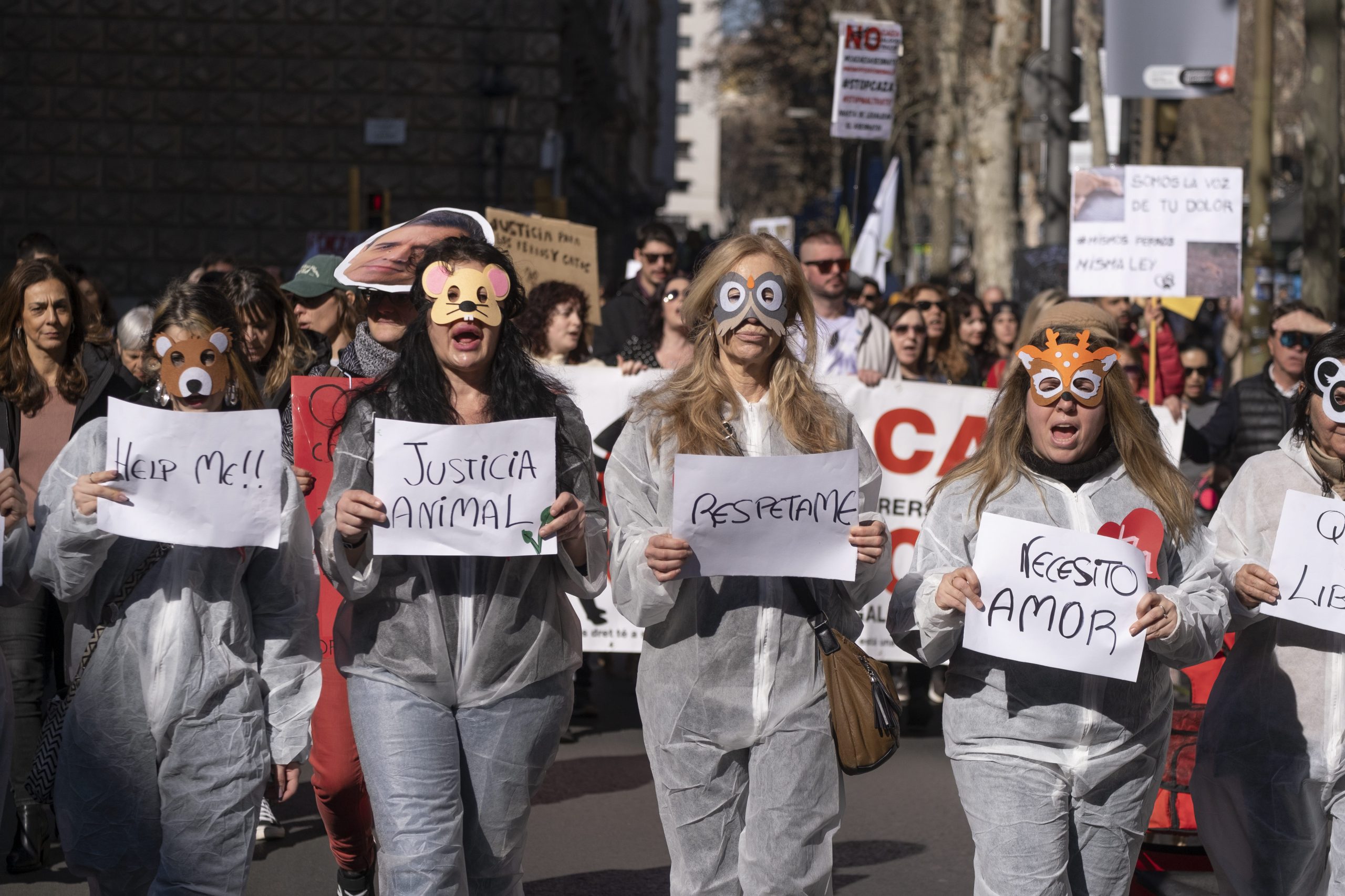 Protests across Spain over animal rights law that excludes hunting dogs