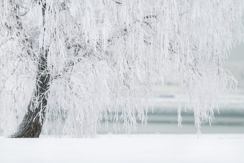 Baza in Spain’s Granada drops to a chilly -6.3ºC and registers lowest urban temperature this Tuesday in all Andalucia