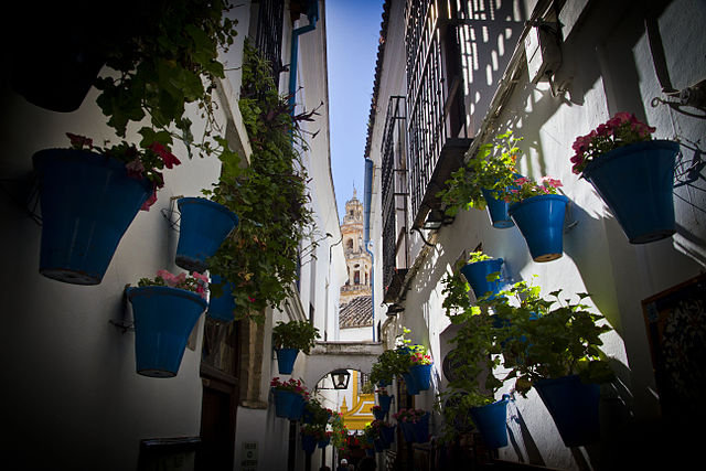 640px Calleja De Las Flores 002