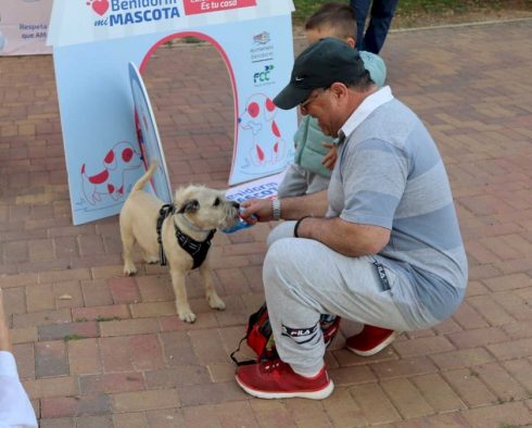 Benidorm On Spain's Costa Blanca Launches Blitz On Dog Owners To Pick Up Pet Mess