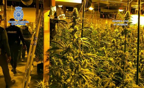 Drug Traffickers Growing Marijuana For Export Are Detained On Spain's Costa Blanca
