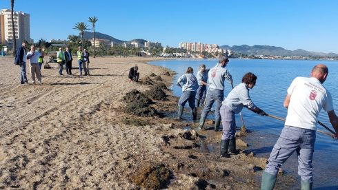 Over €8 Million To Be Spent This Spring And Summer Removing Biomass Pollution From Mar Menor Lagoon In Spain