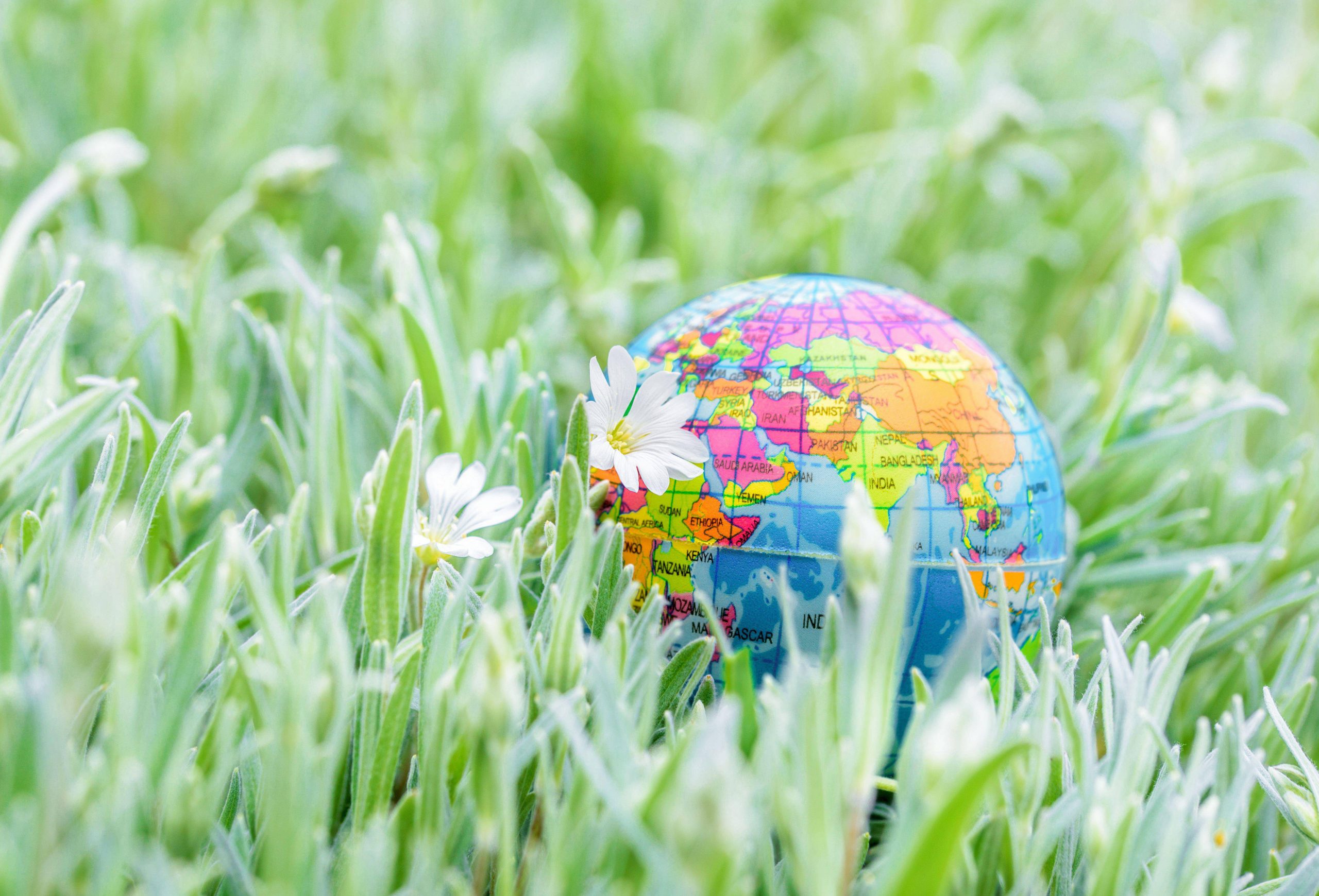 Earth Globe On The Grass.