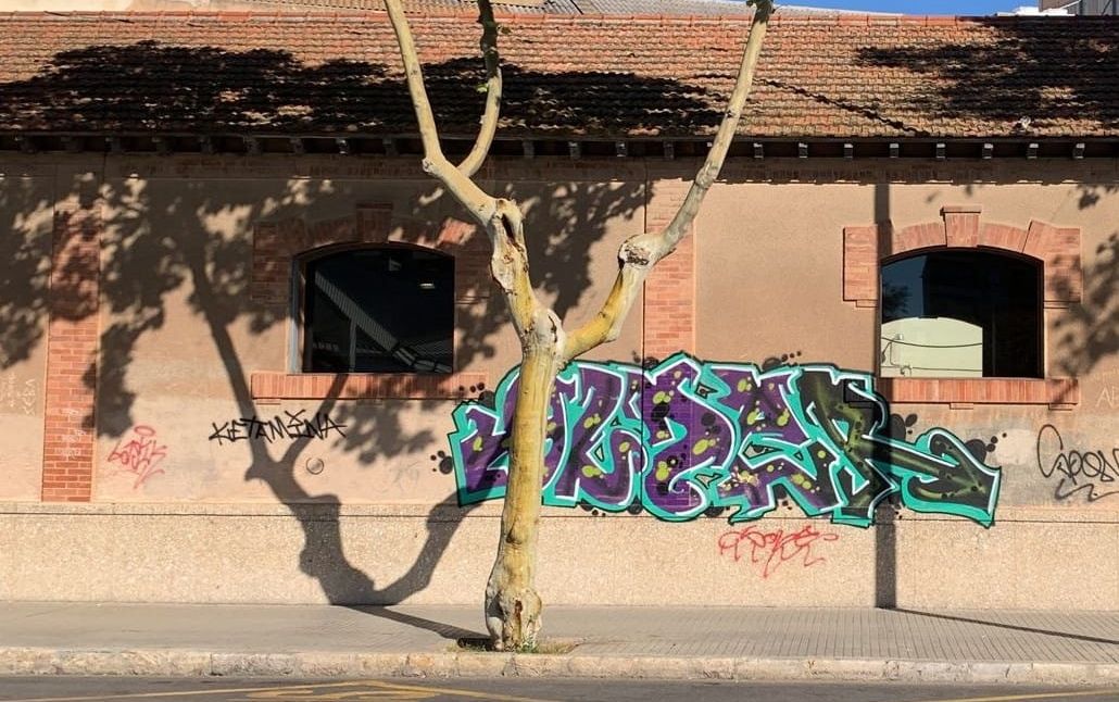 Graffiti Vandal Gets Stung With Big Penalty For Daubing Historic Train Station In Spain's Mallorca