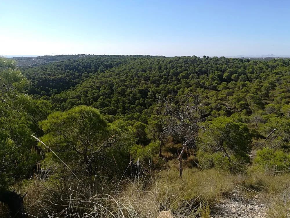 Declaration Process Started To Create Much Anticipated Natural Park In Spain's Costa Blanca