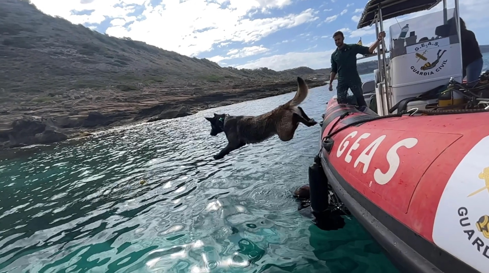 Guardia Civil Dog Baleares Photo By Guardia Civil