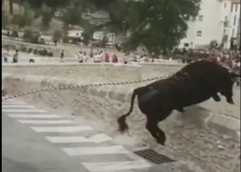 Bull jumps over wall in Valencia