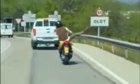 Moped rider records TikTok video