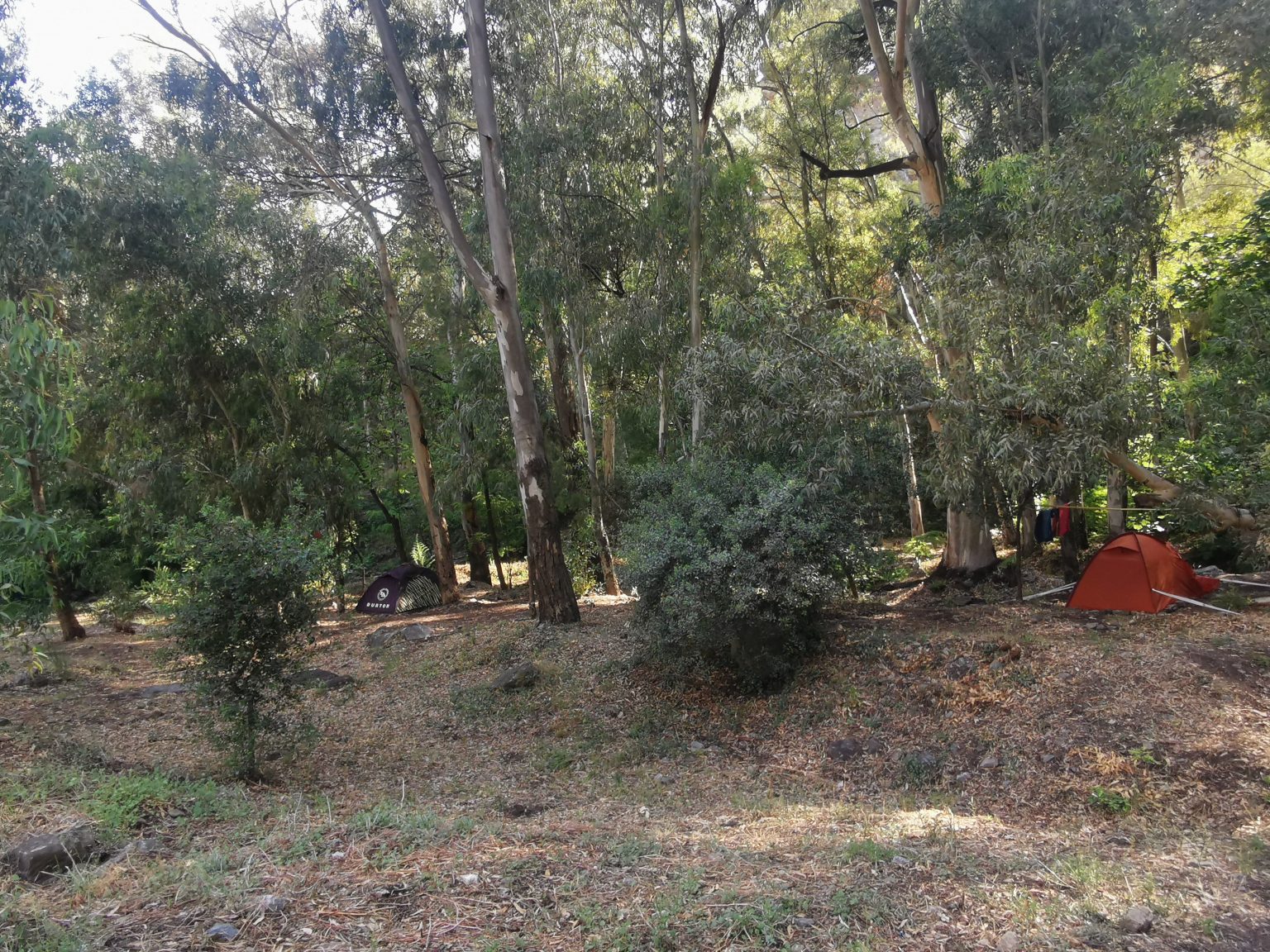 INTO THE WILD? Why it's generally illegal to pitch your tent away from Spain's dedicated