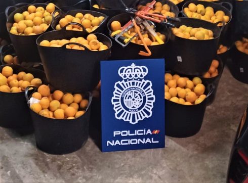 Police Chase Van Crammed With 600 Kilos Of Stolen Oranges On Spain's Costa Blanca