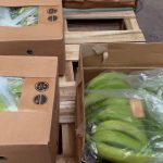 Vast Quantities Of Cocaine Intercepted In Banana Shipments To Spain's Andalucia