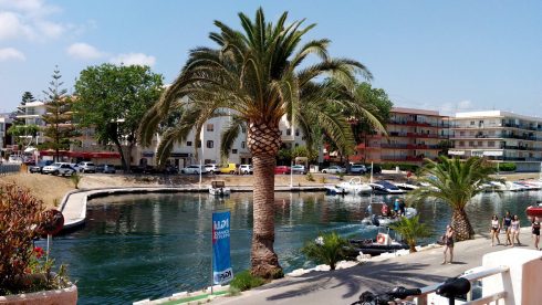 Large number of dead fish appear in marina area on Spain's Costa Blanca