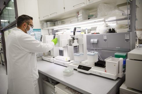 Researchers in Spain search for new immunotherapy mixture to fight liver cancer