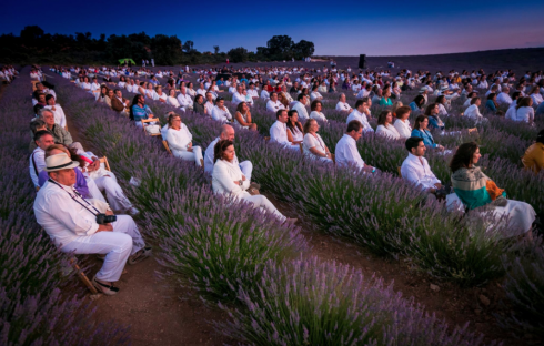 Screen Shot 2023 07 06 At 17.48.39