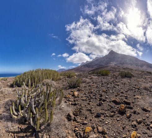 British woman, 39, found dead close to popular hiking trail in Spain's Canary Islands