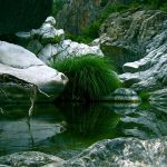 Discover one of the most spectacular gorges in Spain’s Andalucia