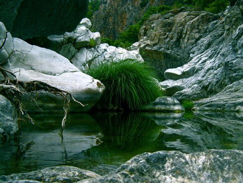 Discover one of the most spectacular gorges in Spain’s Andalucia