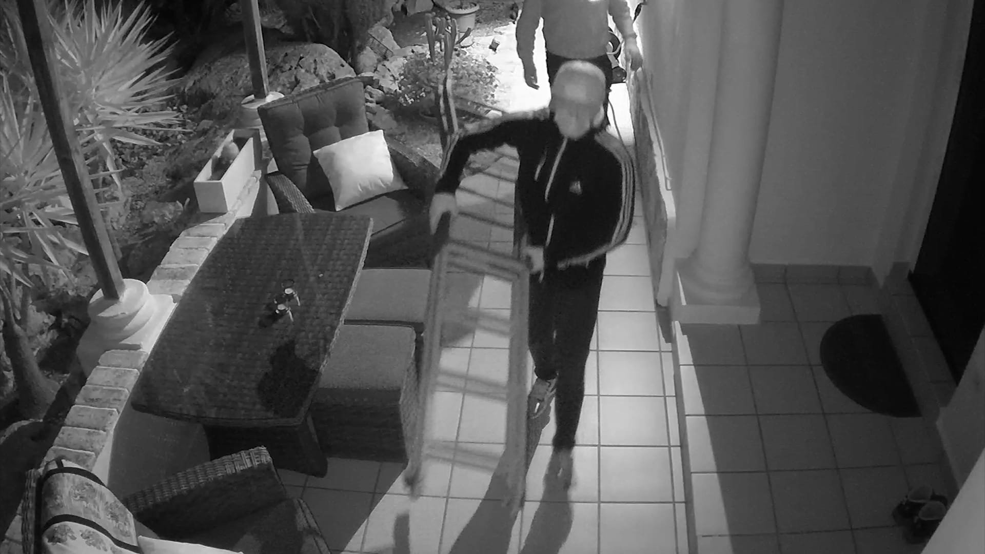 Two Albanians who 'robbed more than FIFTY homes' are arrested: Prolific duo accused of targeting expat neighbourhoods across Spain's Costa Blanca