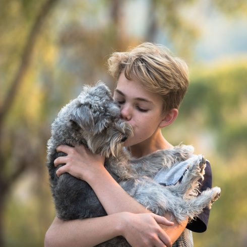 Malaga to open Spain's first public pet cemetery