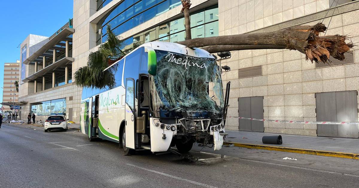 bus kills three in cadiz