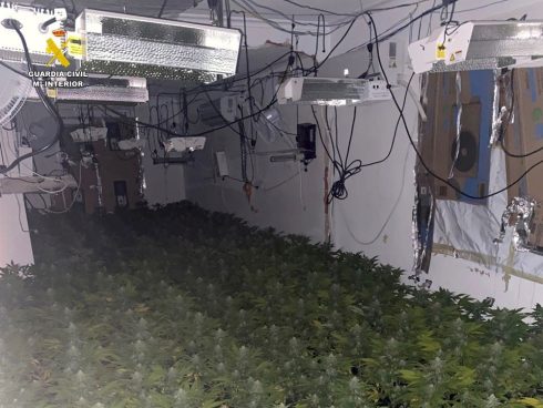 British expat's home is taken over by squatters who turn it into mammoth marijuana farm on Spain's Costa Blanca