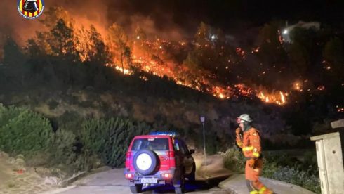 Devastating November fire was caused by power lines touching tree branches in Spain's Valencia