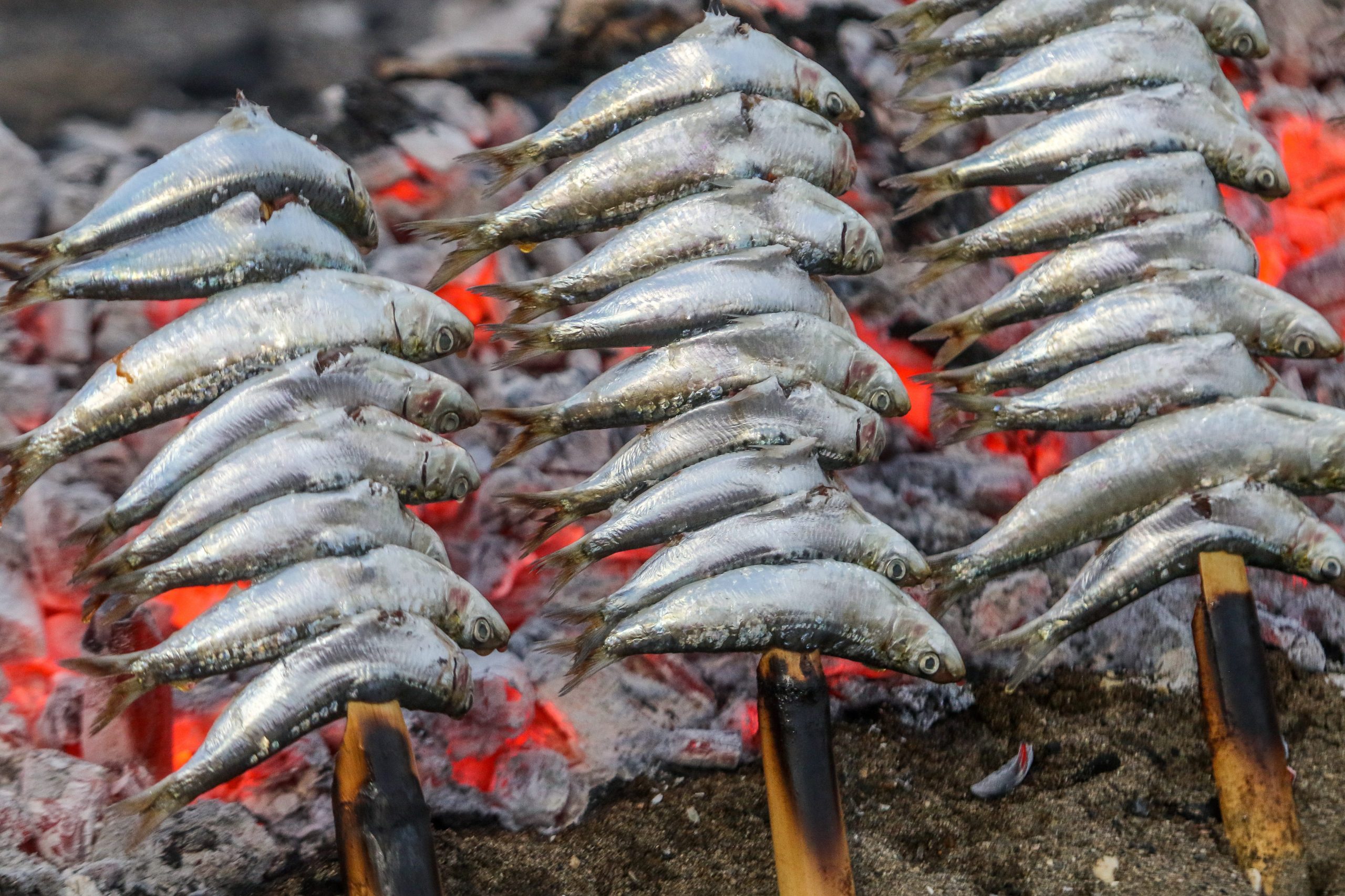 Espetos  Traditional Saltwater Fish Dish From Province of Málaga