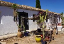 Expat family chain themselves to a digger to halt new development being built next to their finca on Spain’s Costa Blanca – as Austrian ambassador lends his support Expat family chain themselves to a digger to halt new development being built next to their finca on Spain’s Costa Blanca - as Austrian ambassador lends his support