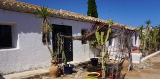 Expat family chain themselves to a digger to halt new development being built next to their finca on Spain’s Costa Blanca – as Austrian ambassador lends his support Expat family chain themselves to a digger to halt new development being built next to their finca on Spain’s Costa Blanca - as Austrian ambassador lends his support