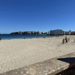 Italian expat, 20, is arrested 'after raping a British tourist on a beach' in Spain's Mallorca