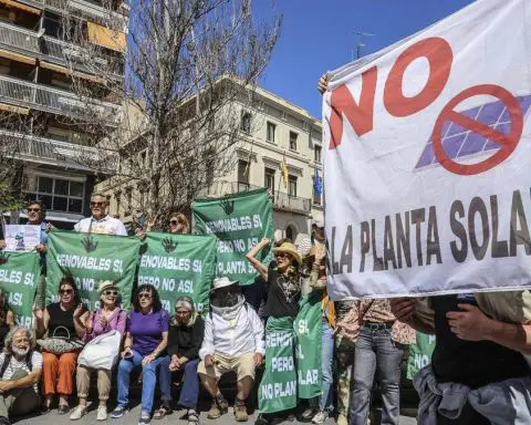 Hundreds join protest against controversial solar farm on Spain’s Costa Blanca that ‘threatens wildlife and 10,000 trees’
