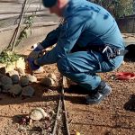 Record number of illegally-kept 'protected' turtles found on farm in Spain